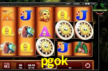 Interface do App pgok